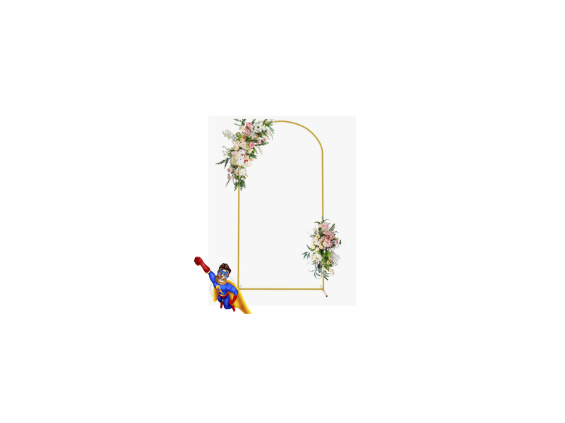 Image 27